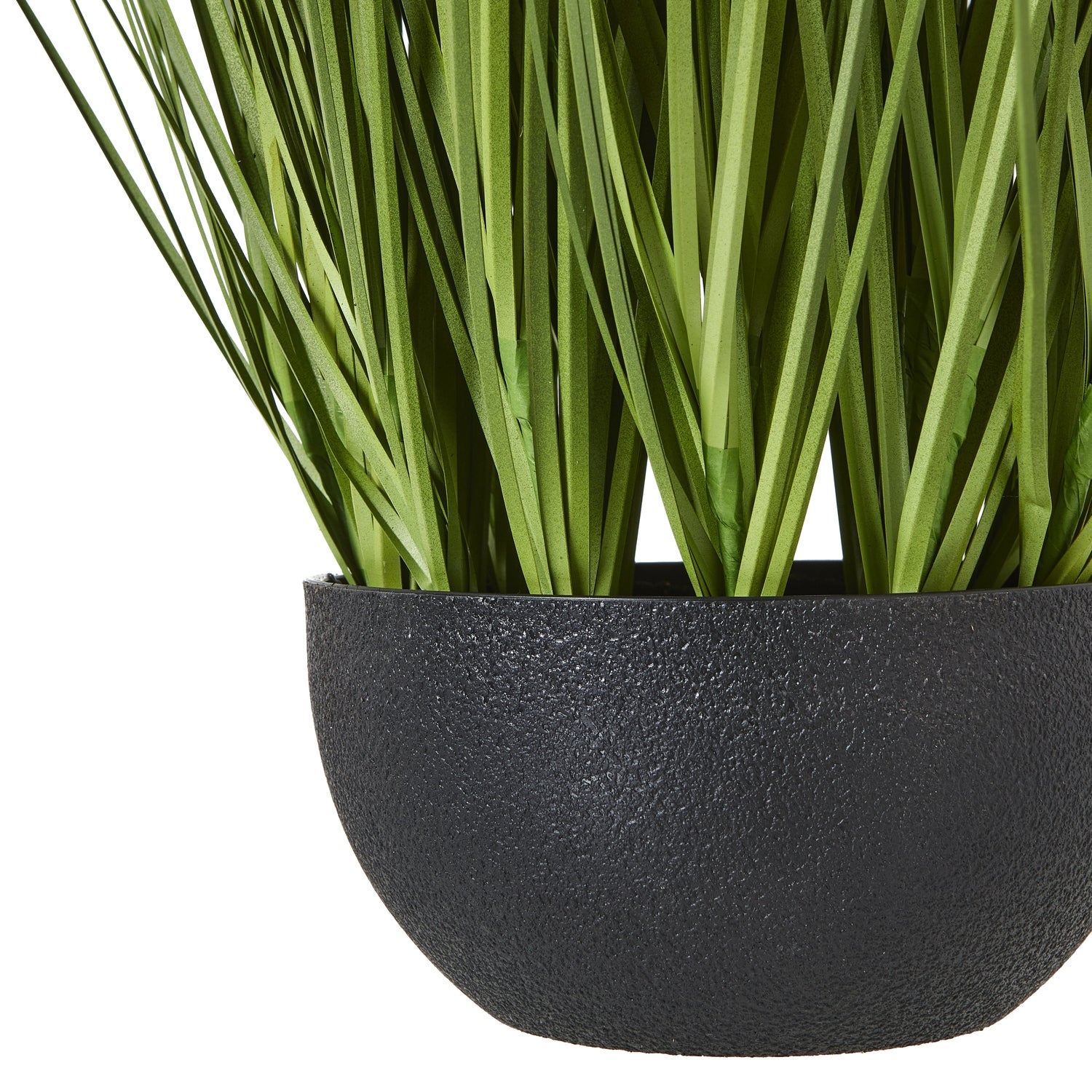 White Allium Plant In Pot - Skandi London