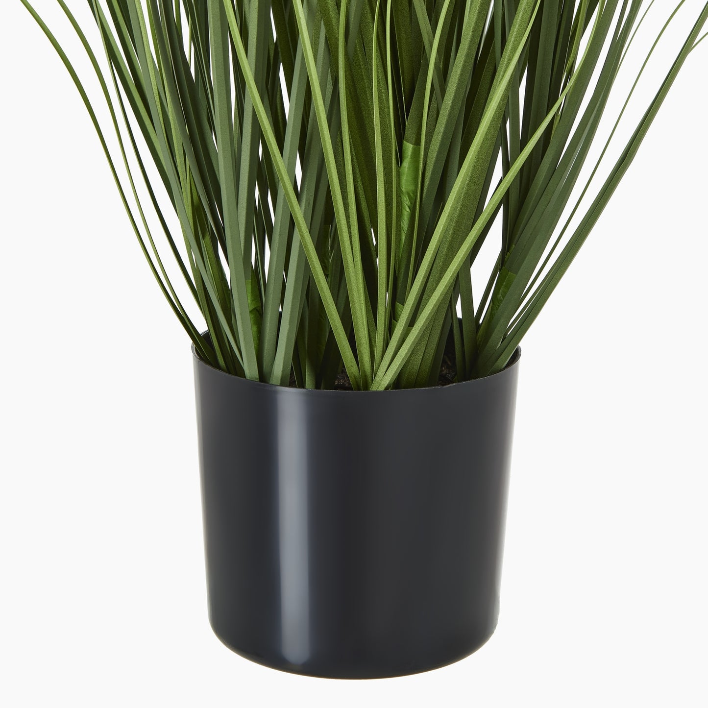 Blue Agapanthus Plant In Pot - Skandi London