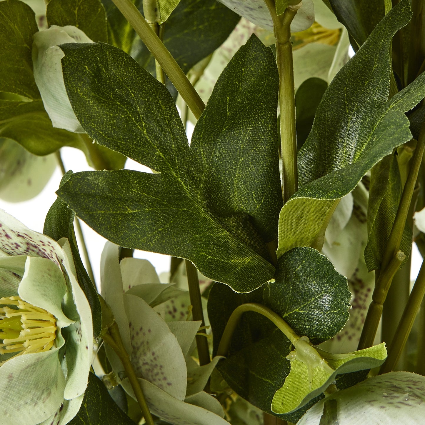 Large Green Hellebore in Taupe Pot - Skandi London