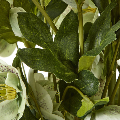 Large Green Hellebore in Taupe Pot - Skandi London