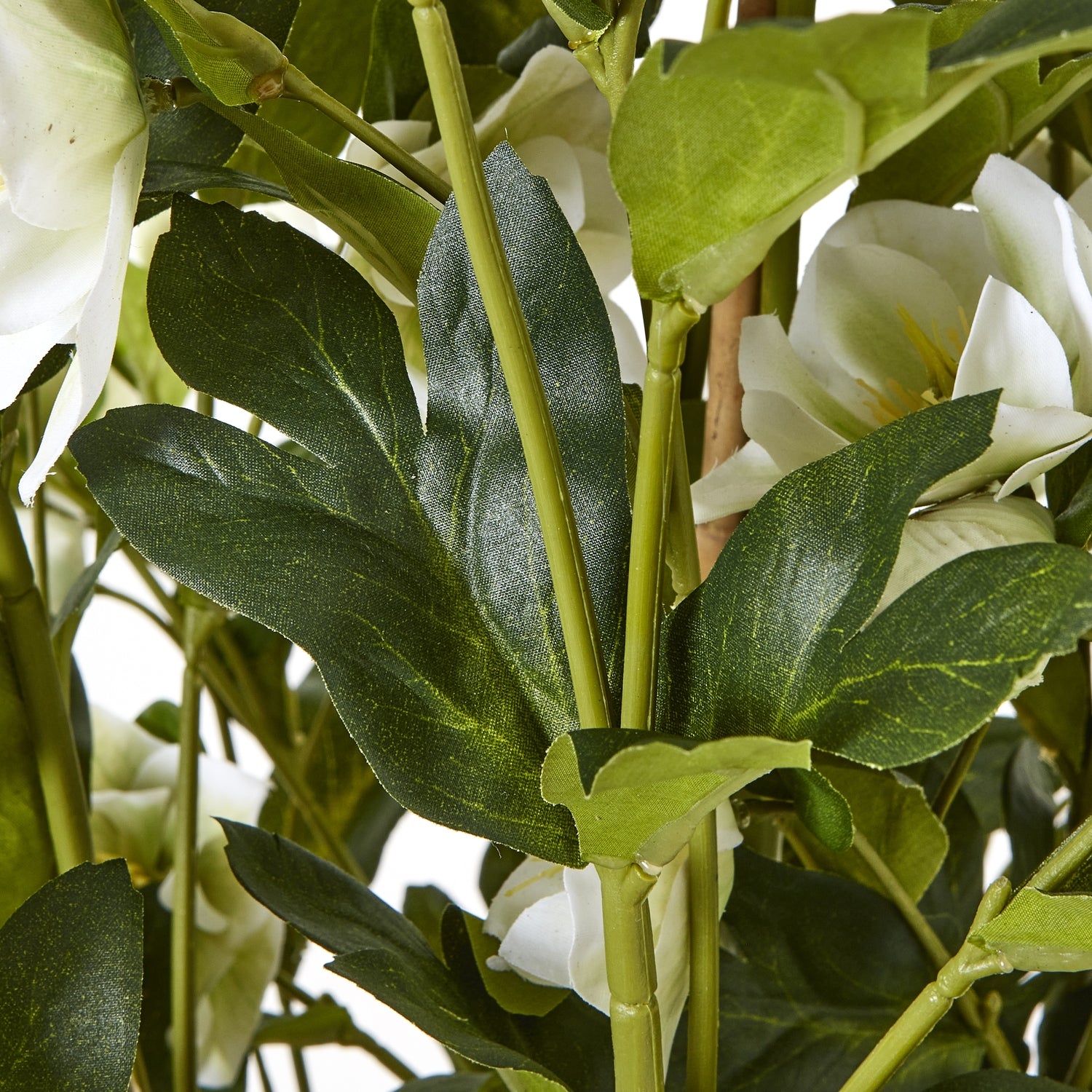 Large White Hellebore In Grey Pot - Skandi London