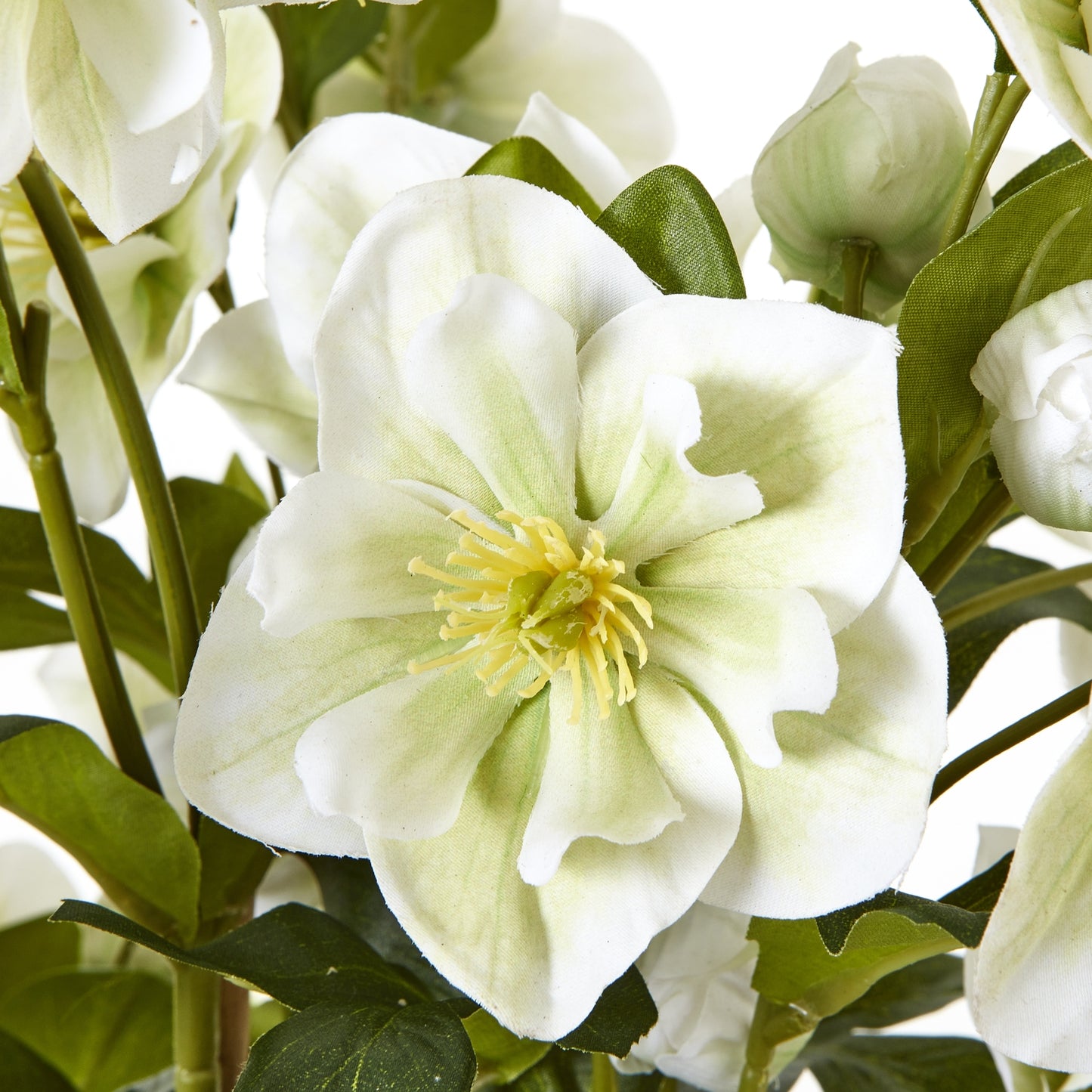 Large White Hellebore In Grey Pot - Skandi London