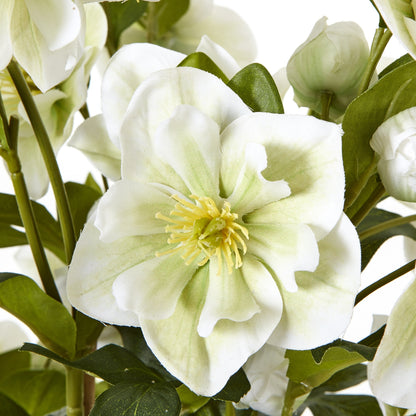 Large White Hellebore In Grey Pot - Skandi London