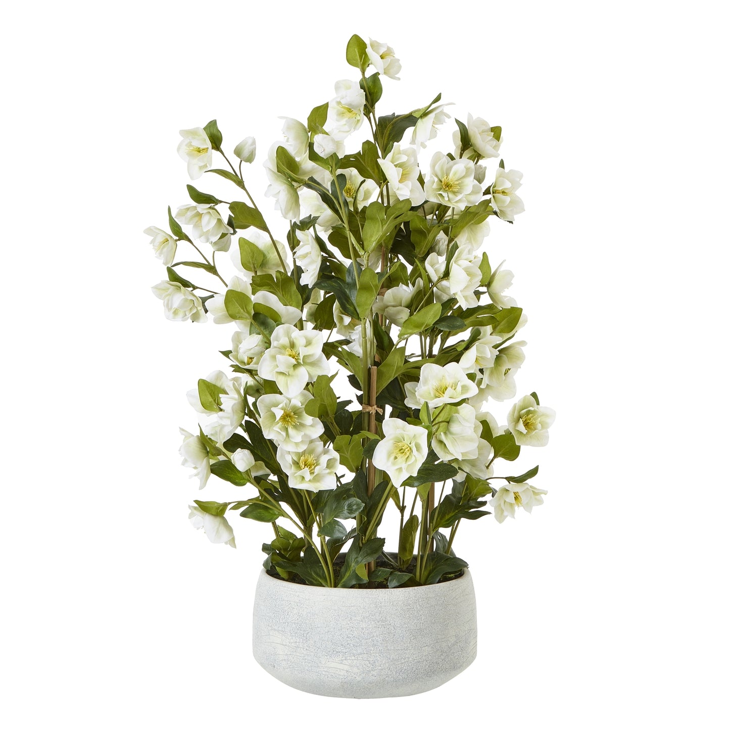 Large White Hellebore In Grey Pot - Skandi London