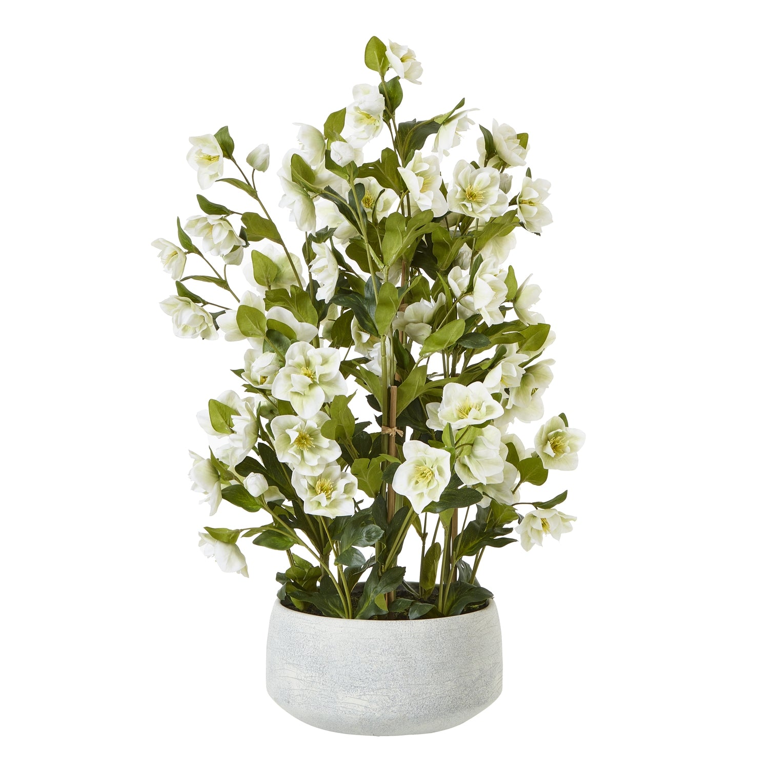 Large White Hellebore In Grey Pot - Skandi London