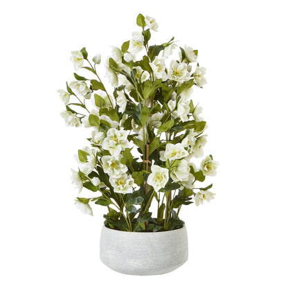 Large White Hellebore In Grey Pot - Skandi London