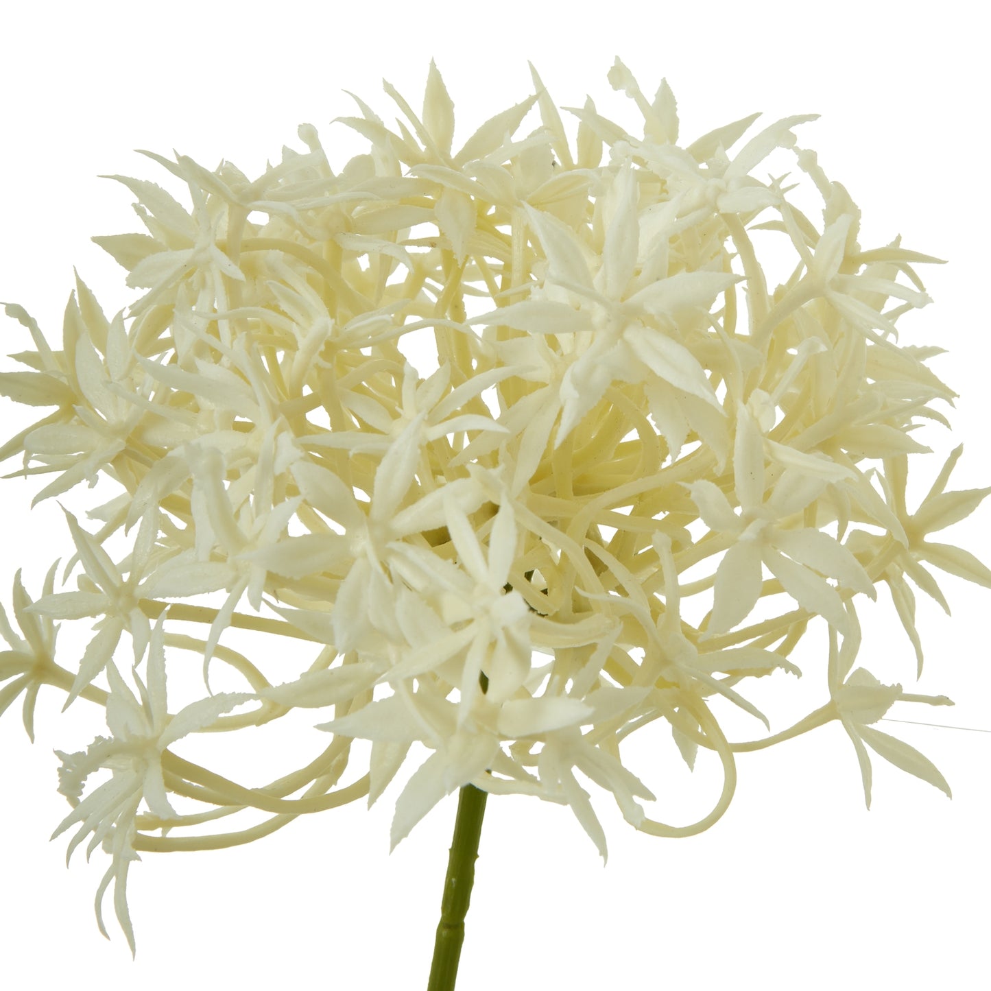 Three Head Cream Allium Spray - Skandi London