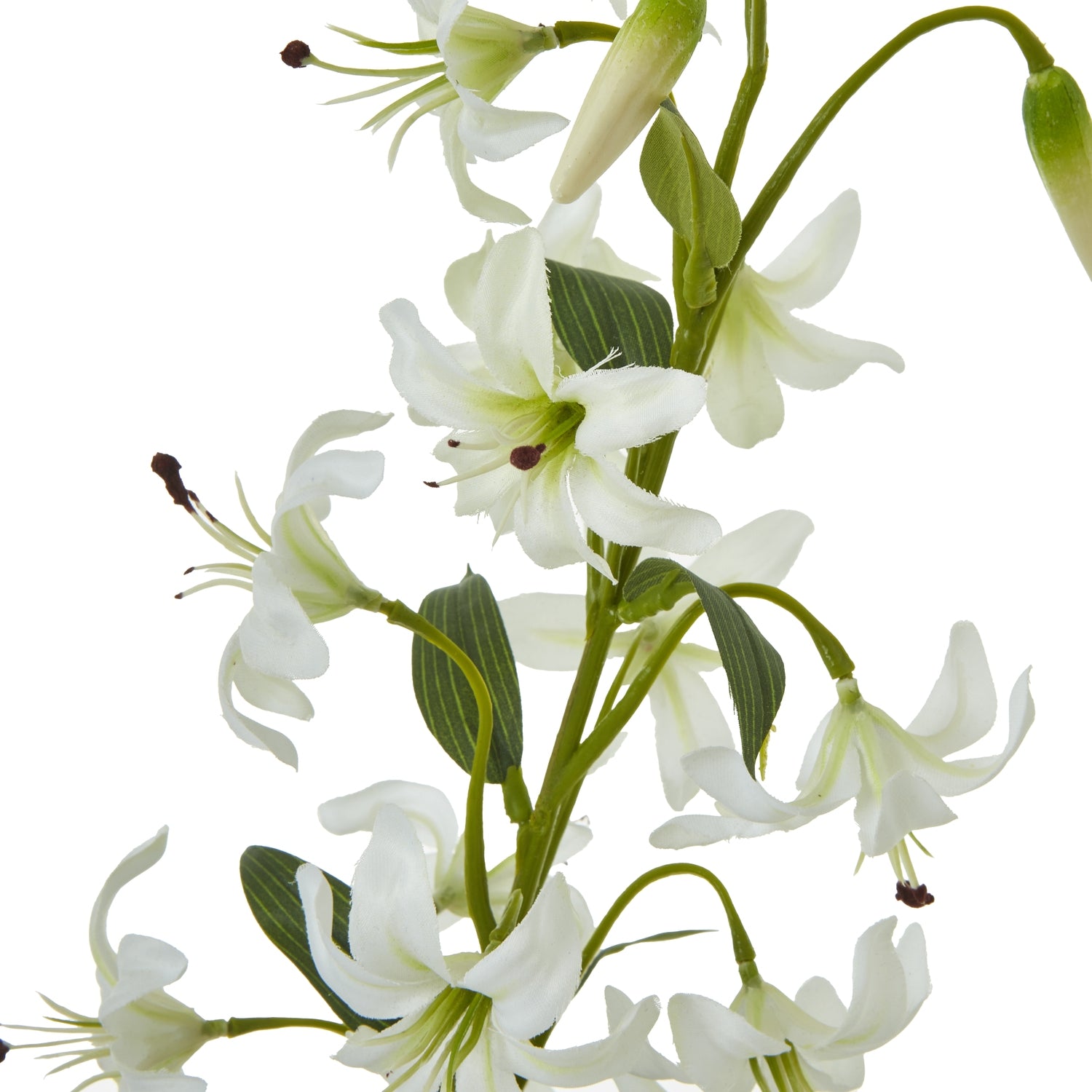 Turks Cap Green Lily Spray - Skandi London