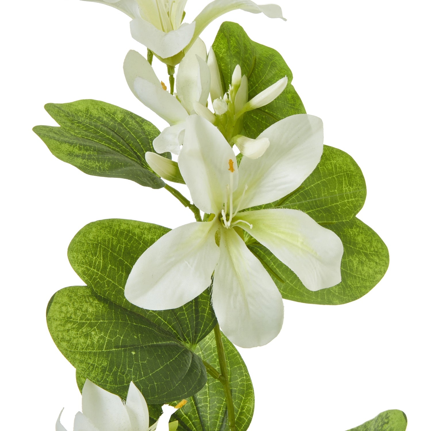 Cream Bauhinia Orchid Spray - Skandi London