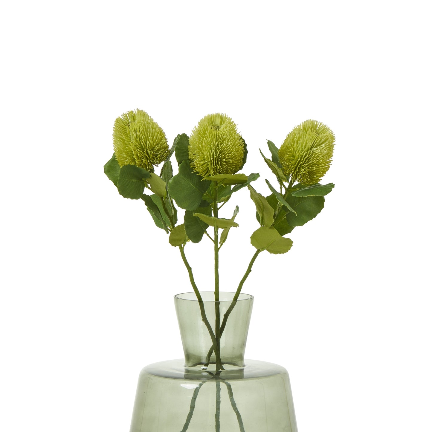 Green Banksia Stem - Skandi London