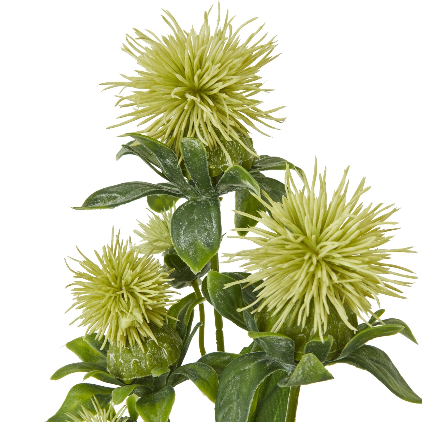 Green Safflower Spray - Skandi London