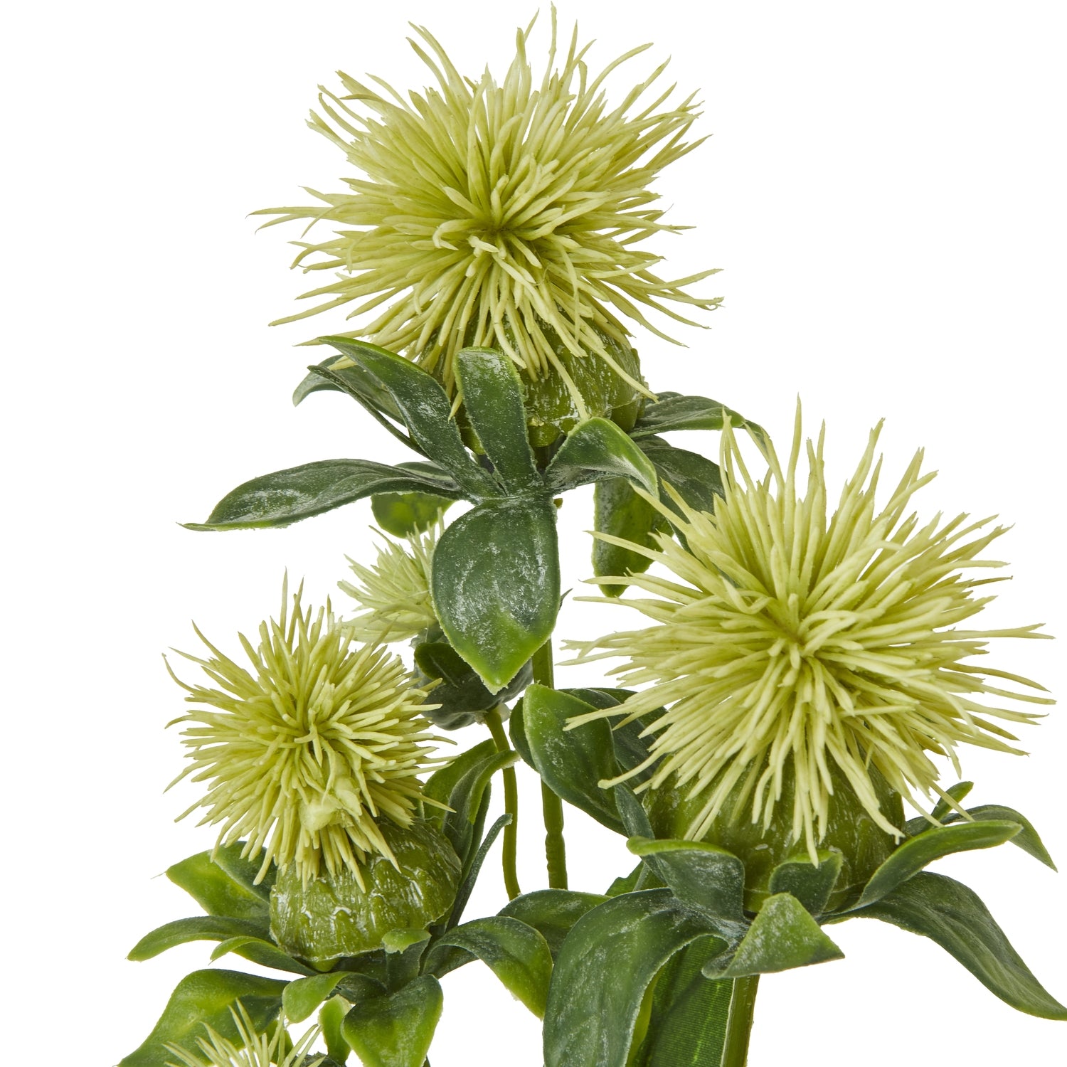 Green Safflower Spray - Skandi London