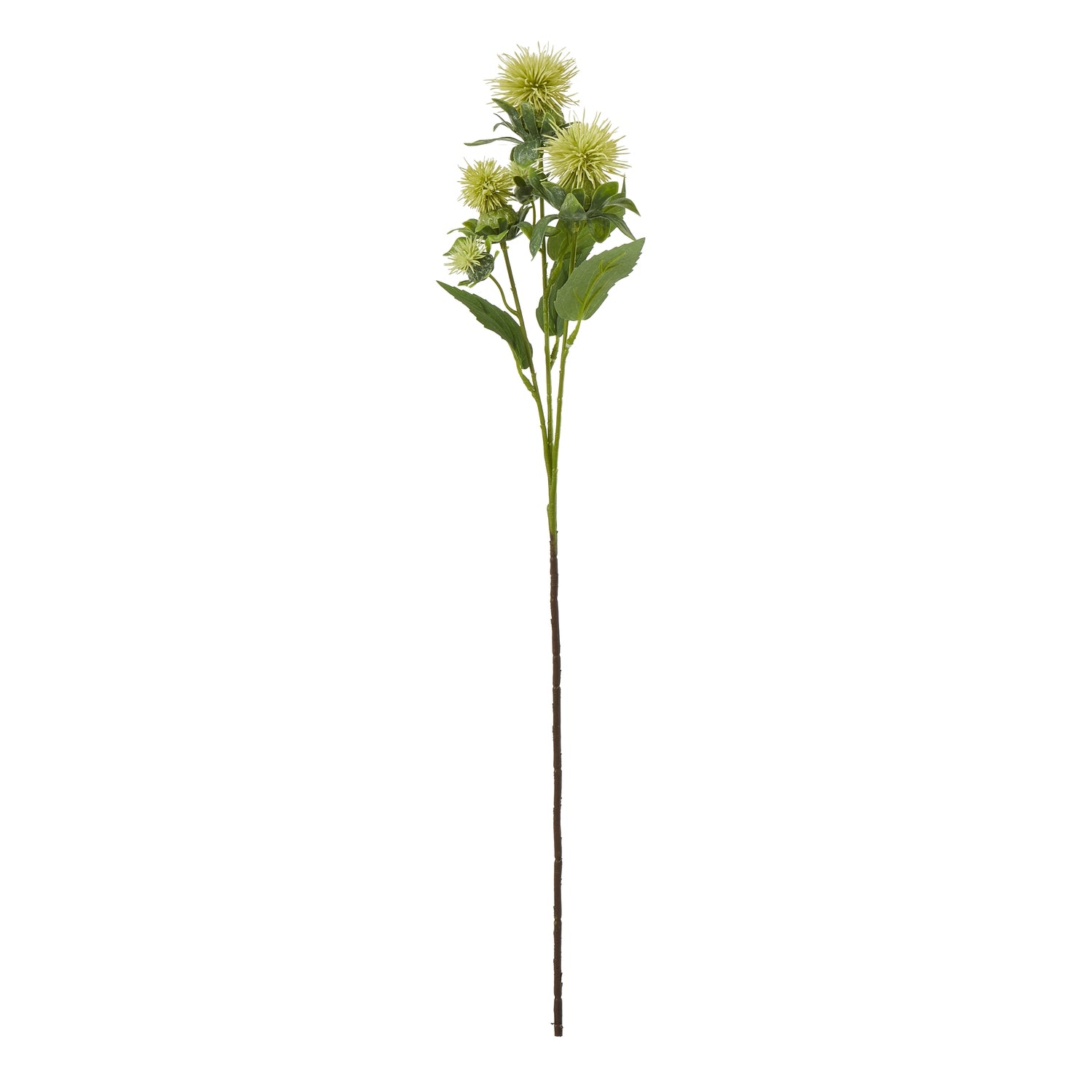 Green Safflower Spray - Skandi London