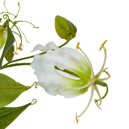 Cream Gloriosa Spray - Skandi London