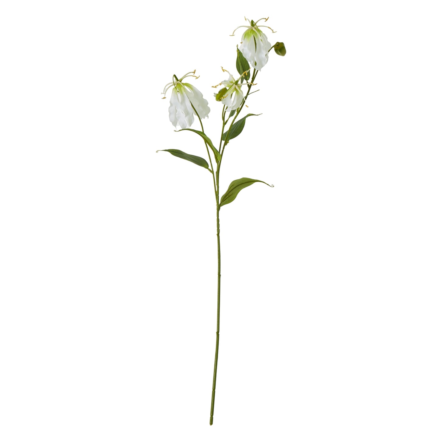 Cream Gloriosa Spray - Skandi London