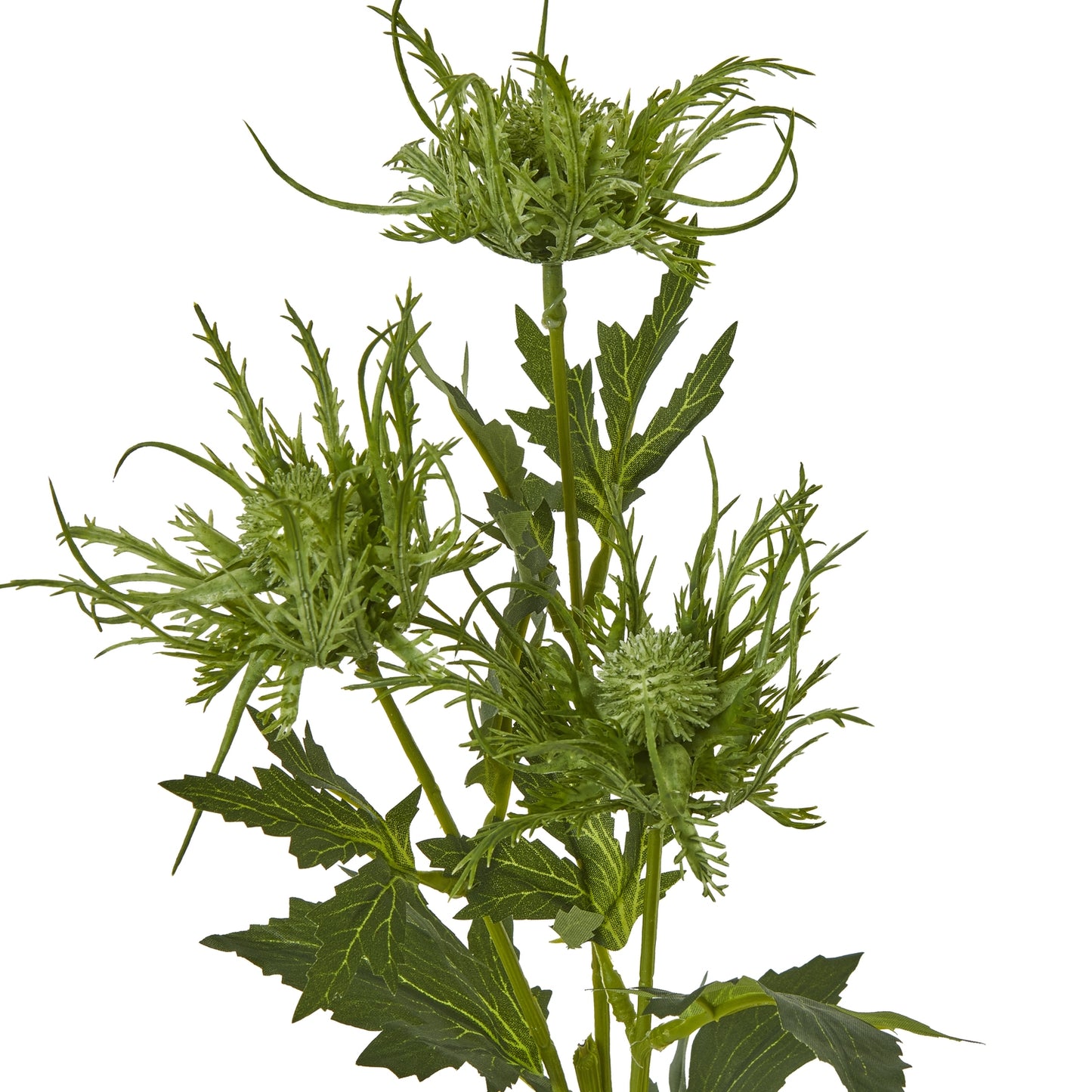 Green Sea Holly Spray - Skandi London