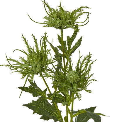 Green Sea Holly Spray - Skandi London