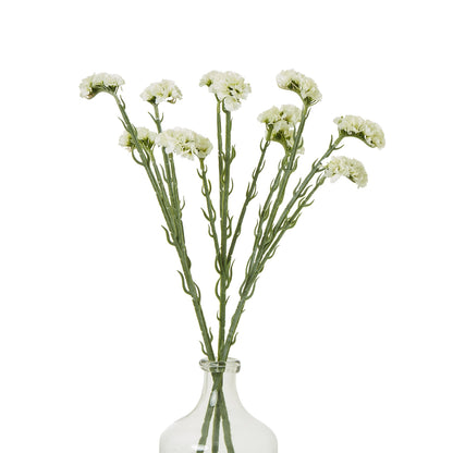 Cream Statice Spray - Skandi London