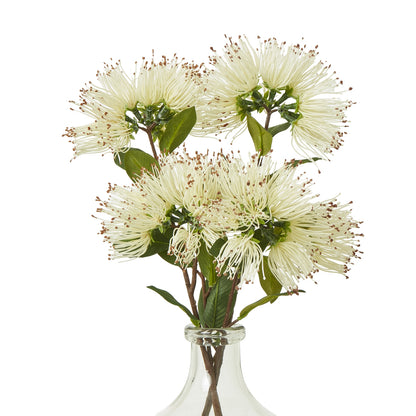 Cream Protea Nitida Spray - Skandi London