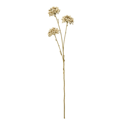 Brown Allium Spray - Skandi London