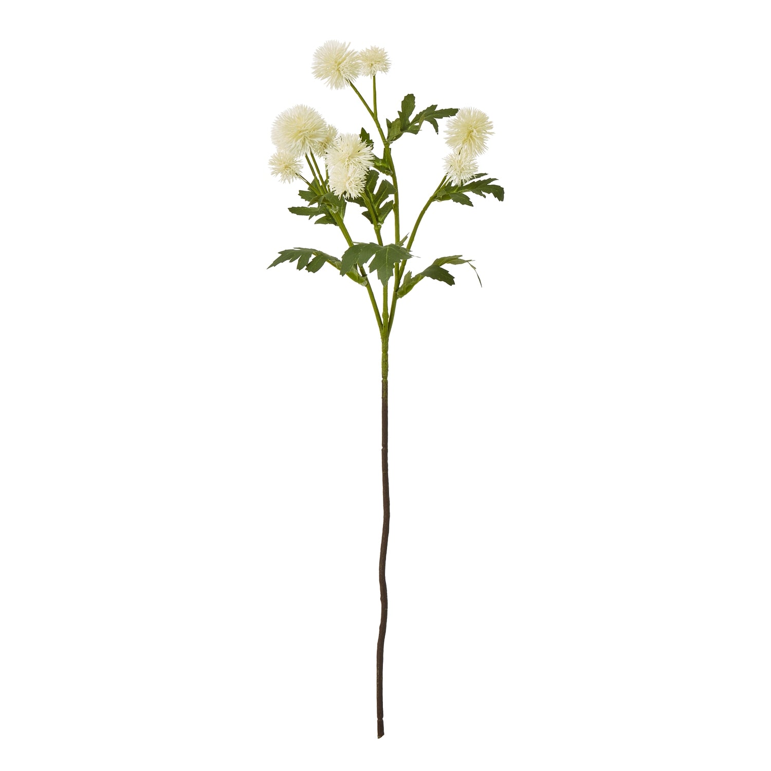 Cream Globe Thistle Spray - Skandi London