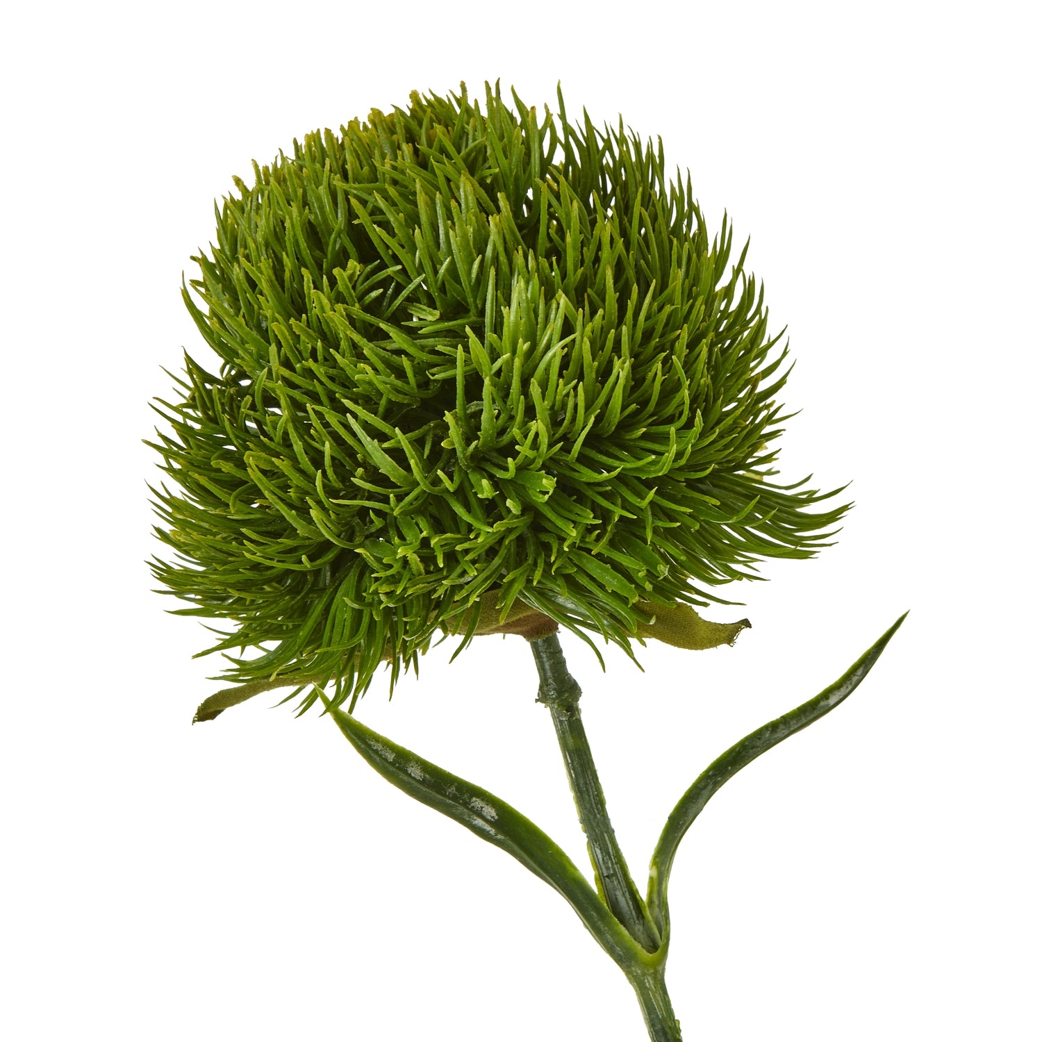 Dark Green Dianthus Stem - Skandi London