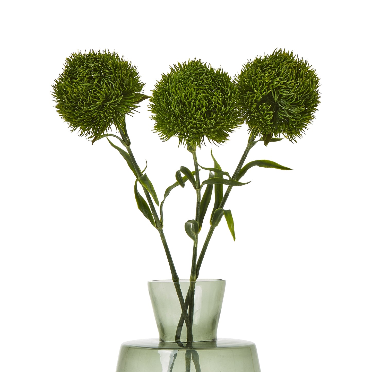 Dark Green Dianthus Stem - Skandi London