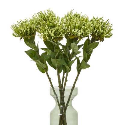 Green Protea Lorea Stem - Skandi London