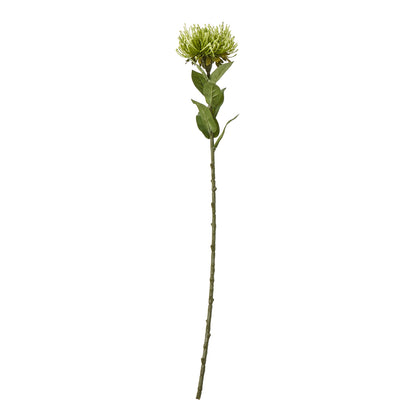 Green Protea Lorea Stem - Skandi London