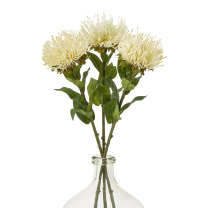 Cream Protea Lorea Stem - Skandi London