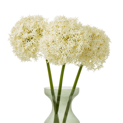 Cream Giant Allium Stem - Skandi London
