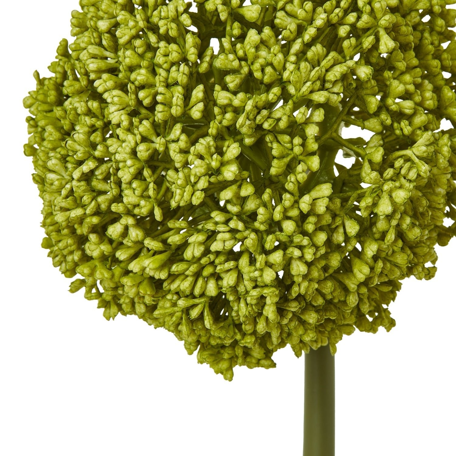 Green Allium Stem - Skandi London