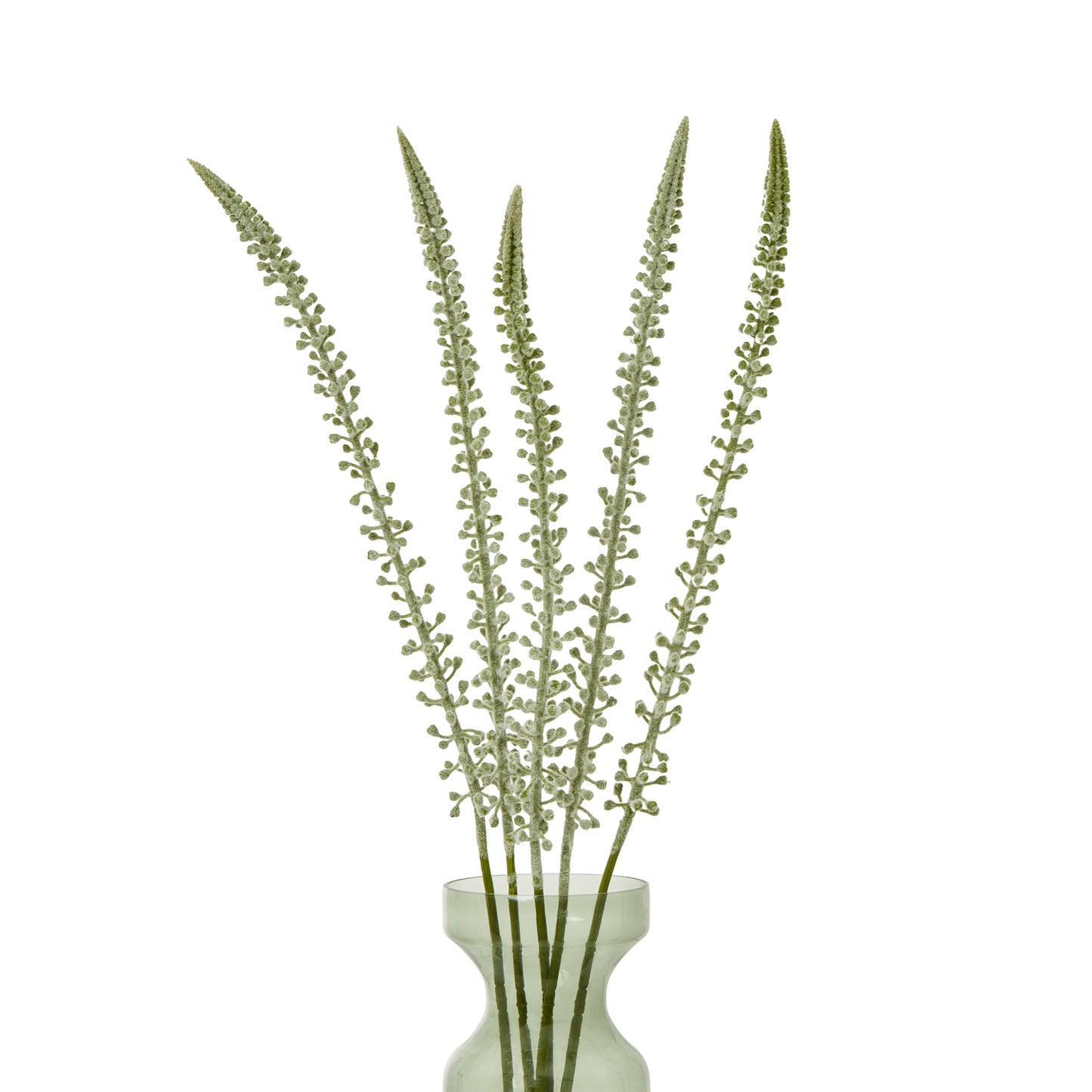 White Eremurus Stem - Skandi London