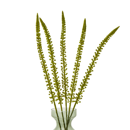 Green Eremurus Stem - Skandi London