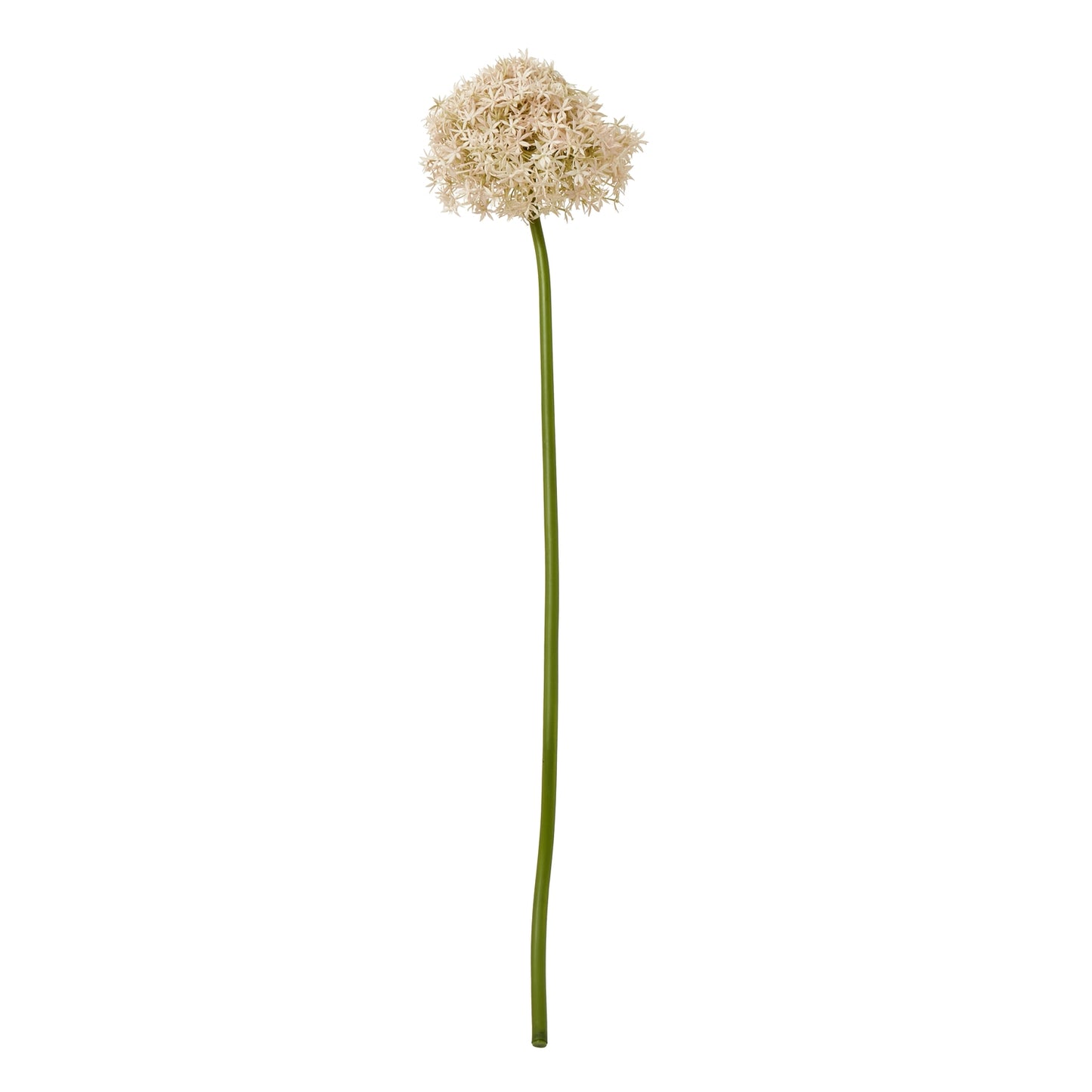 Pink Giant Allium Stem - Skandi London