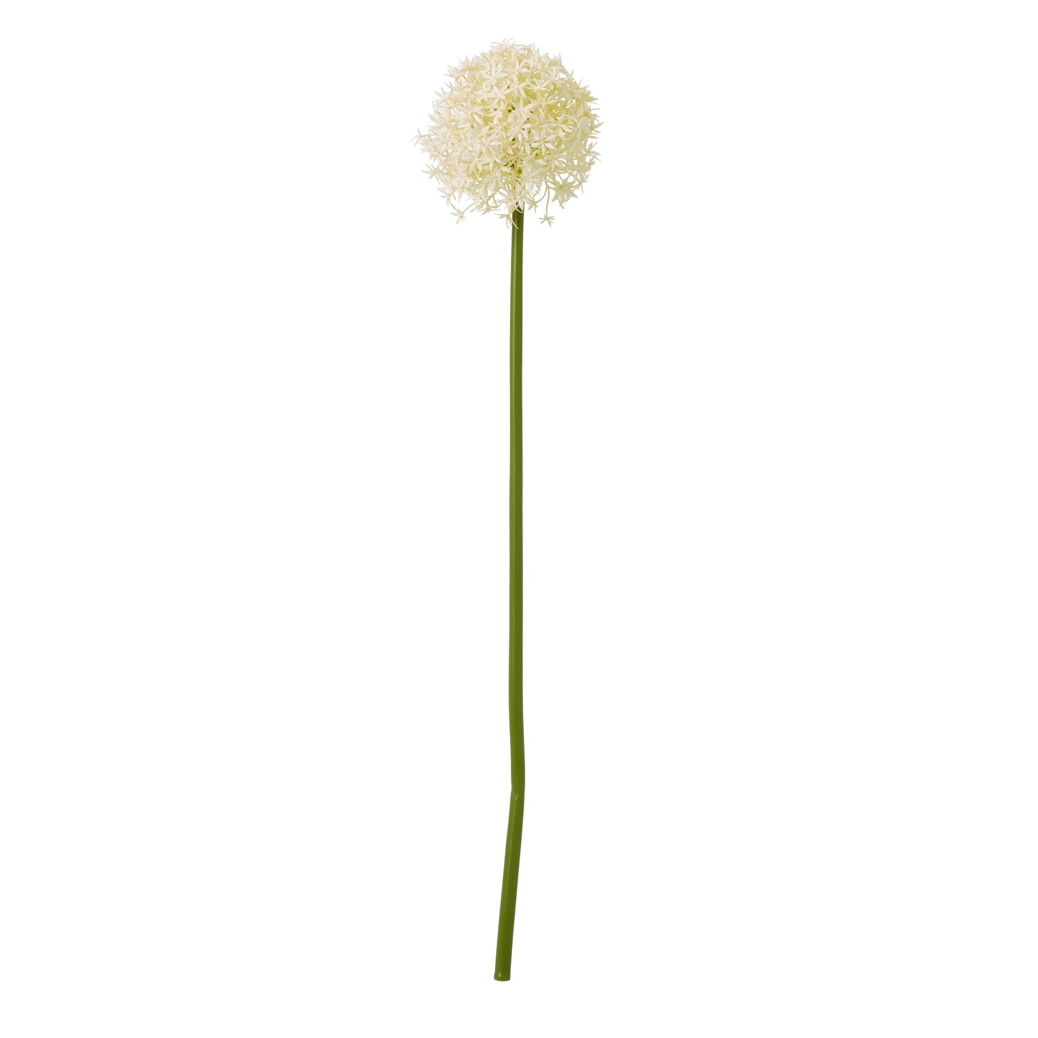 Cream Medium Allium Stem - Skandi London