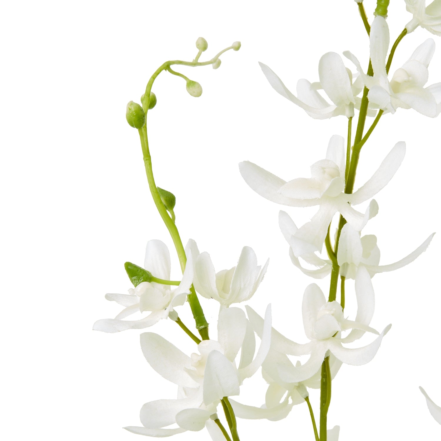 White Cymbidium Spray - Skandi London