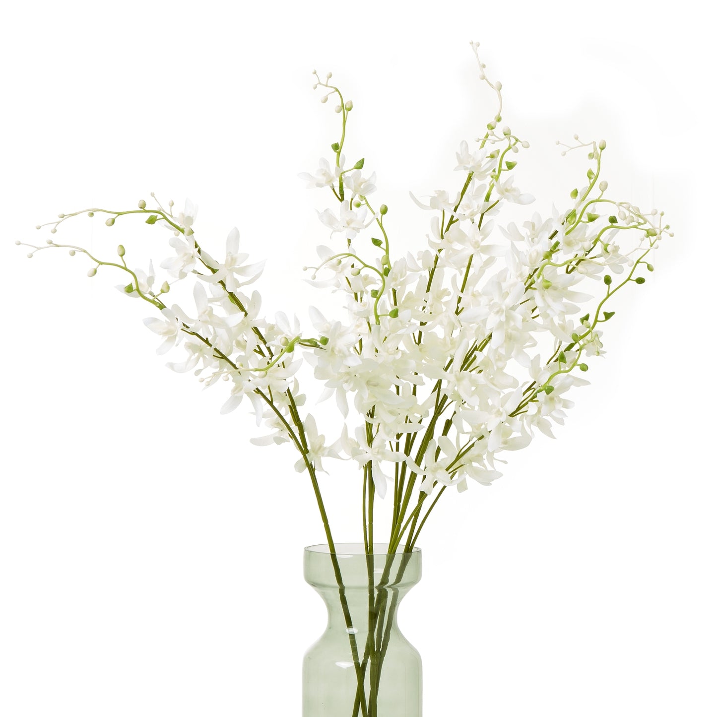 White Cymbidium Spray - Skandi London