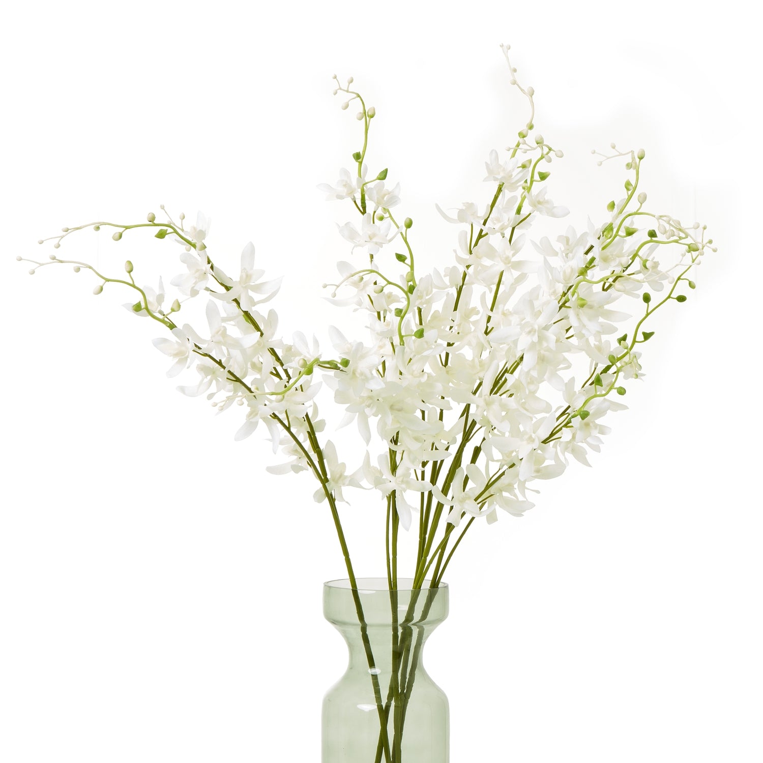 White Cymbidium Spray - Skandi London