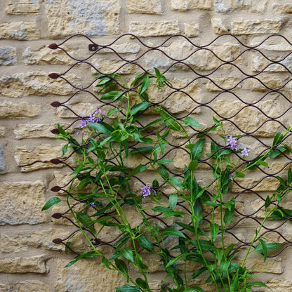 Outdoor Honeycomb Trellis Bronze H100cm W78cm - Skandi London