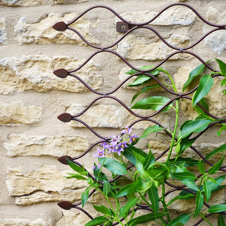 Outdoor Honeycomb Trellis Bronze H100cm W78cm - Skandi London