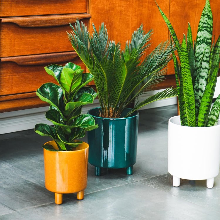 Pisa Mustard Planter H24Cm D20Cm - Skandi London