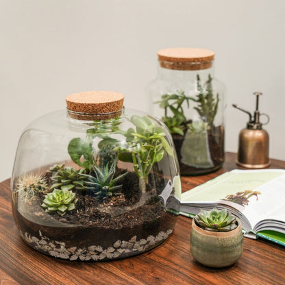 Asker Bowl Terrarium DIY Kit Large - Large - Skandi London