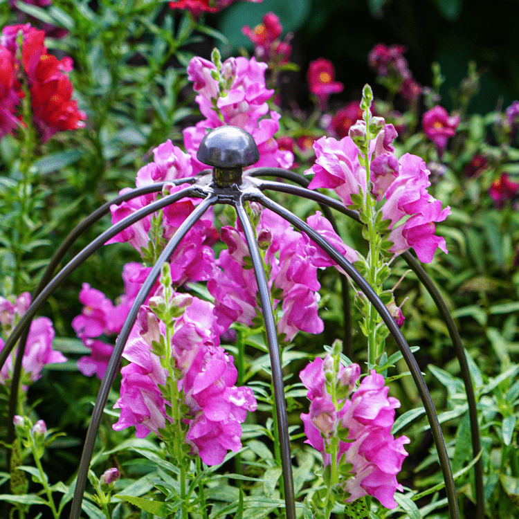 Outdoor Plant Support Zinc H50cm W26cm - Skandi London