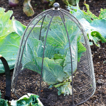 Outdoor Wired Plant Protector Zinc H55cm W47 - Skandi London