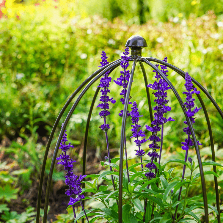 Outdoor Plant Support Zinc H50cm W26cm - Skandi London