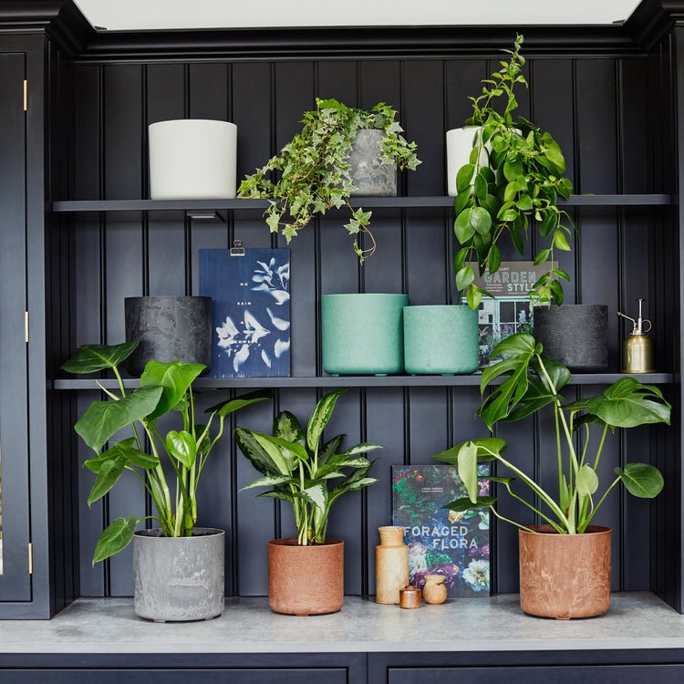 Celine Set of Two Recycled Oak Planters - Skandi London