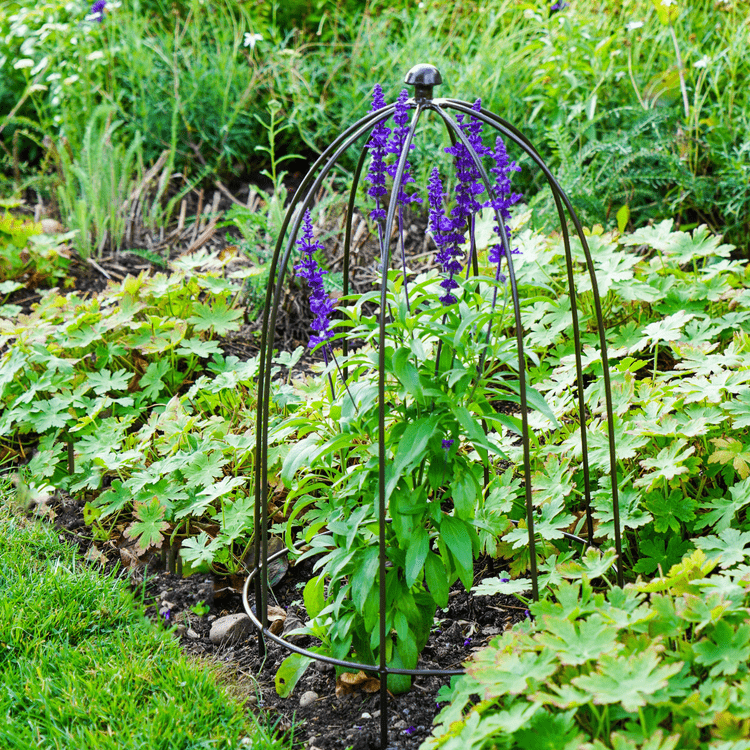 Outdoor Plant Support Zinc H50cm W26cm - Skandi London