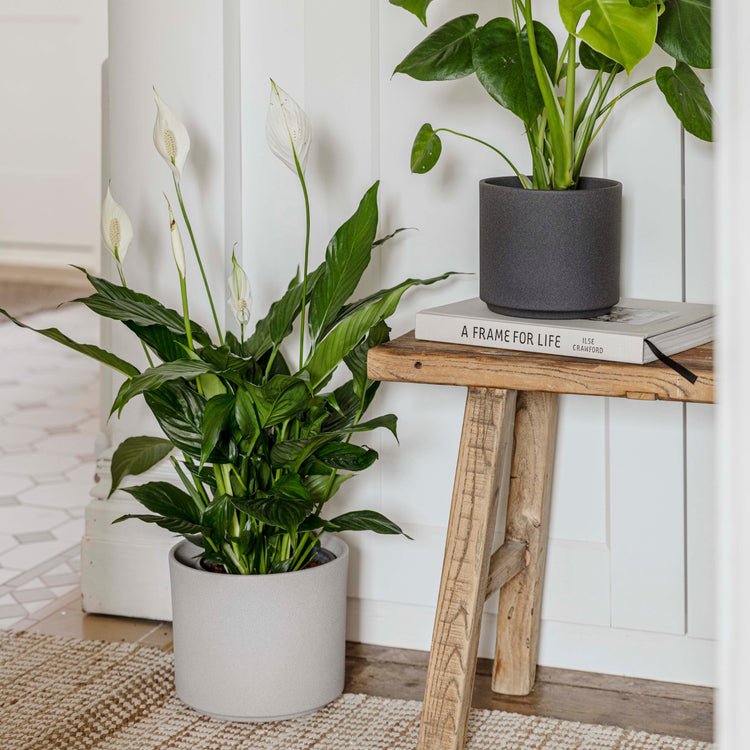 Leon Granite Planter D28Cm - Skandi London