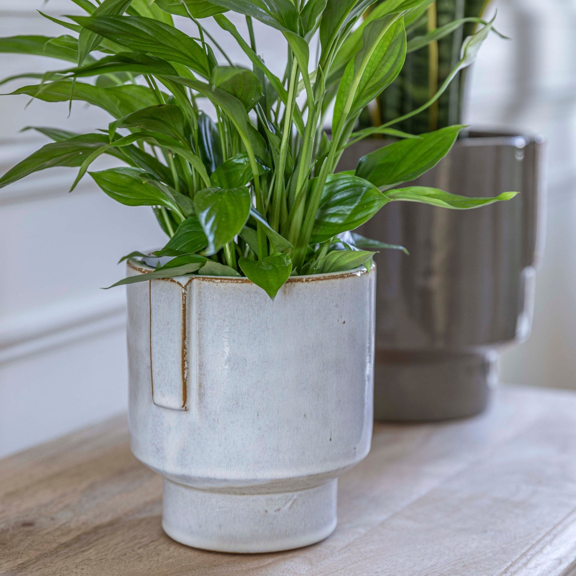 Aries Glazed handles planter White H20cm D19cm - Skandi London